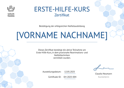 Leichtes Erste Hilfe Zertifikat – Querformat Leichtes Erste Hilfe Zertifikat – Querformat